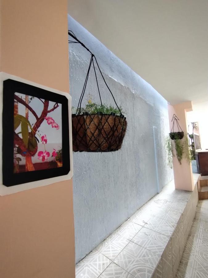 Hostel Salvador Orquideas Exterior photo
